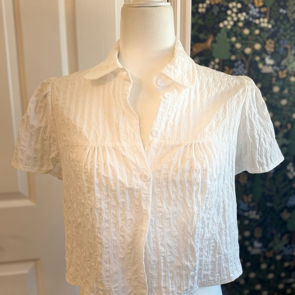 Cider Tops - Cider White Crinkle Button-Down Shirt